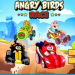 Angry bird đua xe