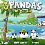 3 chú gấu ở Brazil - 3 Pandas In Brazil