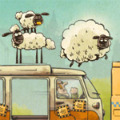 Thử Thách Cùng 3 Chú Cừu